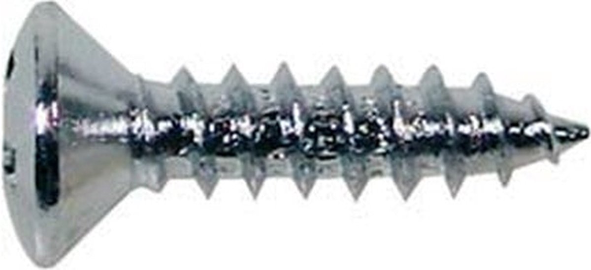 Boston TS-01-C Houten Tapping Schroeven voor Pickguard - 3x12mm, Chroom, 12 Stuks