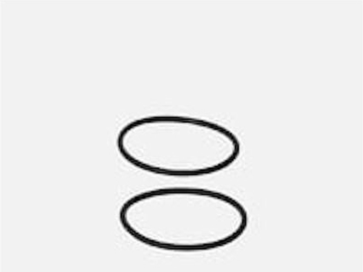 Eheim O-Ring 46X2MM voor 1048/3148
