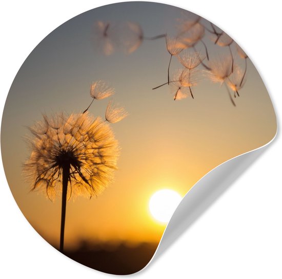 WallCircle® - Behangcirkel 100x100 cm - Muurstickers Paardenbloem - Zon - Zonsondergang - Muurcirkel woonkamer - Wandcirkel slaapkamer - Kamer decoratie zelfklevend - Muurdecoratie accessoires XXL