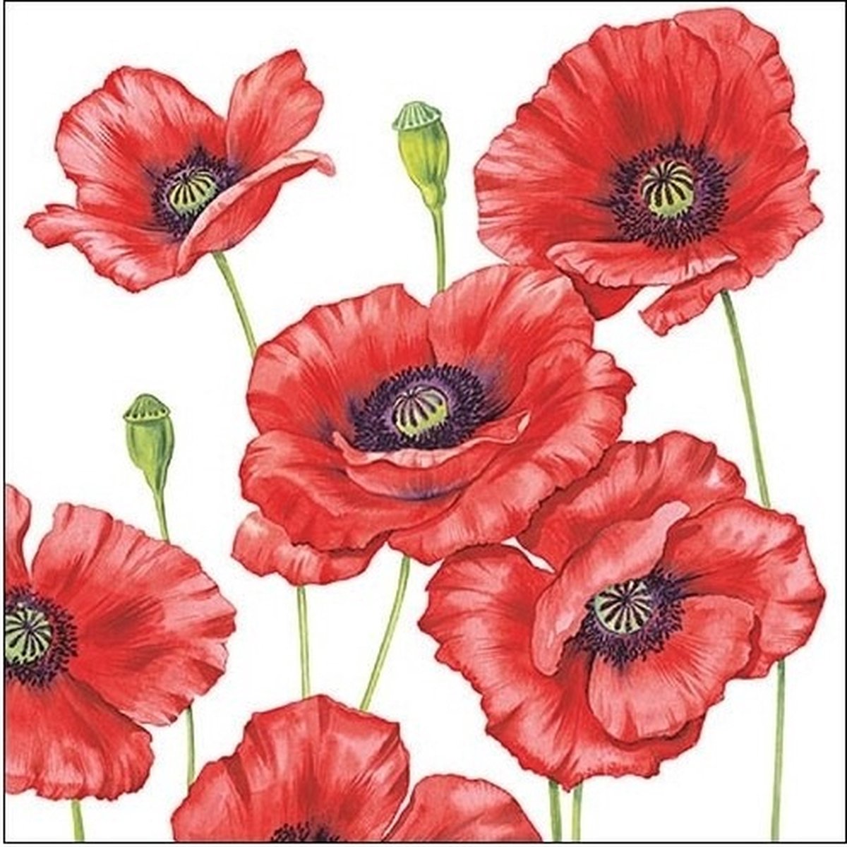 Klaprozen/poppy bloemen - 100x stuks - 33 x 33 cm - 3-laags - Papieren wegwerpservetten