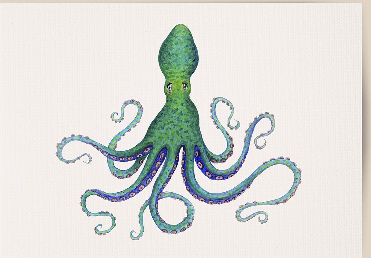 World of Mies poster octopus - A4 - mooi dik papier - Snel verzonden! - tropisch - zeedieren - dieren in aquarel - geschilderd door Mies Oktopus