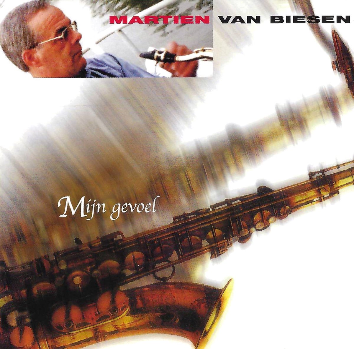 Martien van Biesen - Mijn Gevoel