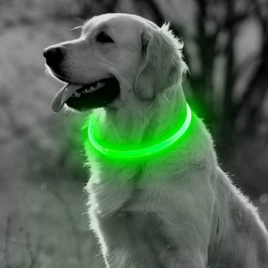 Foto: Groene led halsband voor honden medium size groen verlichte halsband 50 cm graag nauwkeurig de maat opmeten lichtgevende halsband hond oplaadbaar via usb adjustable verstelbaar verstelbare halsband usb oplaadbaar