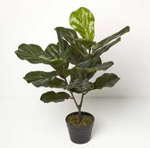 Homescapes Plante artificielle Figuier Lyre en pot, 75 cm