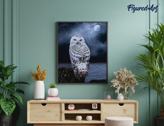 Figured' Art Diamond Painting Set Adultes 40x50 cm Witte - 5D DIY Art Full Drill Square Diamond - Toile roulée