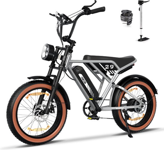 RCB Elektrische Fatbike RK29 | Off-road E-bike met 20*4.0" dikke banden | 48V 15AH verwijderbare lithiumbatterij - Max 90 km bereik | Max 25km/u | 7 versnellingen