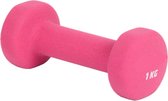 Haltères Doux Pink| Ensemble d' Dumbbell | 2x 1 kg | Haltères 1 kilogramme | Rose | Exercices des bras