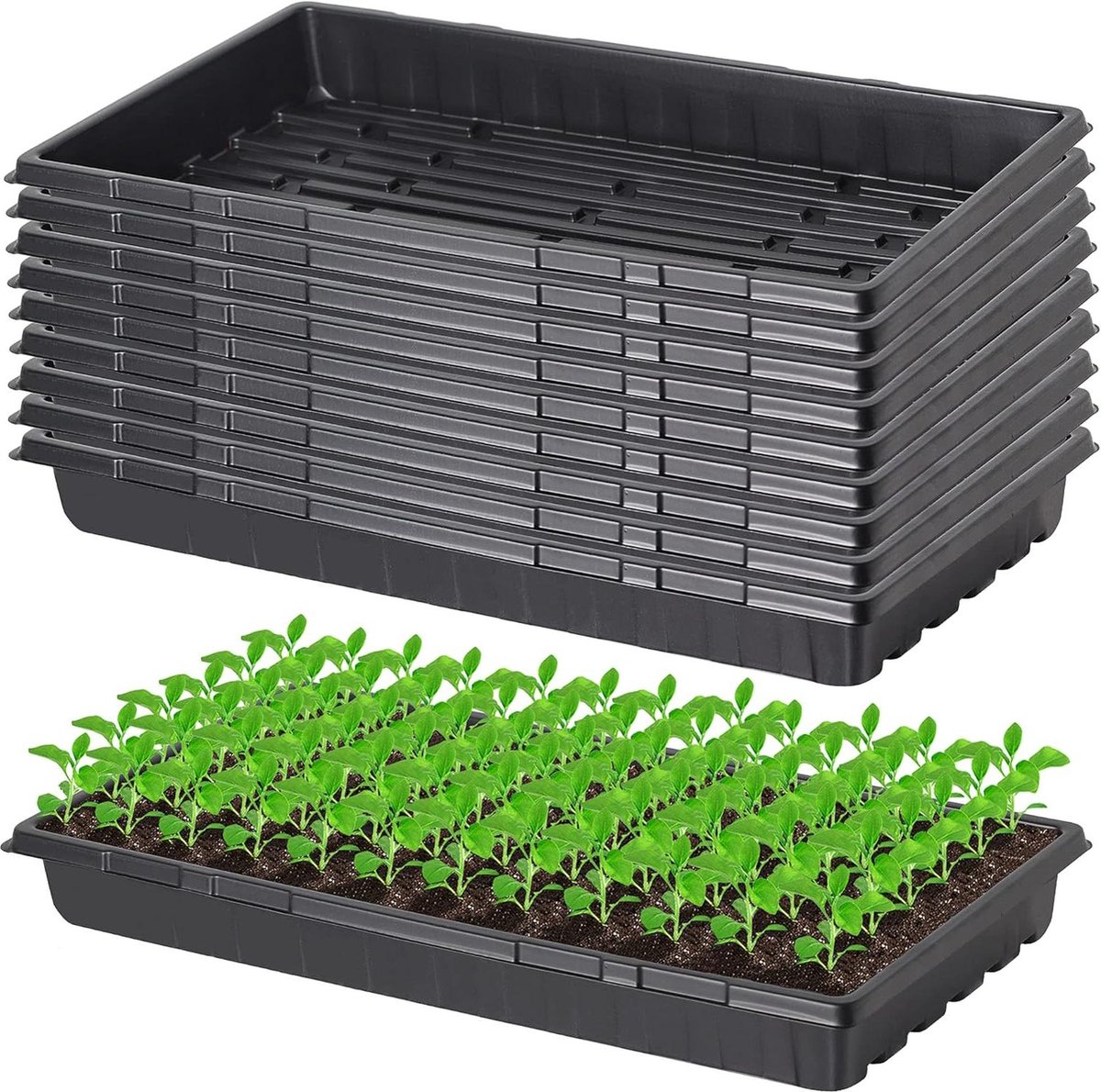 Planten kweekbakken zonder afvoergaten Zaailingen pluggen hydraterende container starter 54 x 28 cm GDPL01N10 Kweekbak