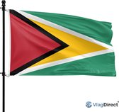 De vlag van Guyana wappert aan een vlaggenmast. De vlag heeft een groen veld met een rode, zwarte en witte driehoek.