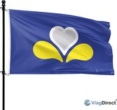 VlagDirect - Brussels drapeau - Brussels drapeau - 90 x 150 cm.