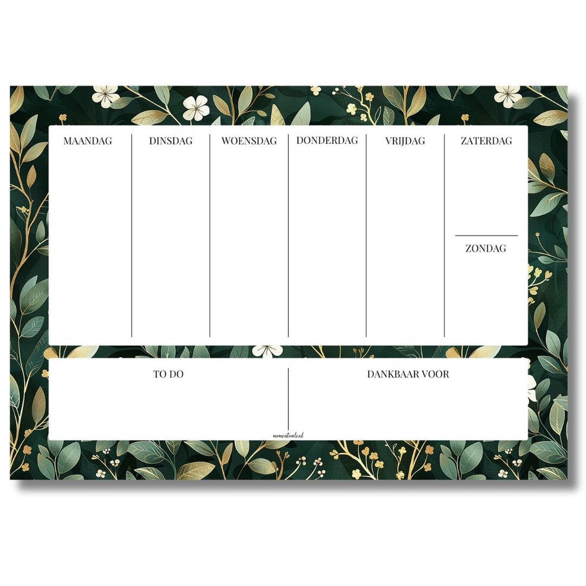 Momentuals Luxe Weekplanner A4 - Afscheurbaar - 50 vellen - Ongedateerd - Papier Planner - Deskplanner - Bureauplanner - Midnight Garden - Groen & Goud