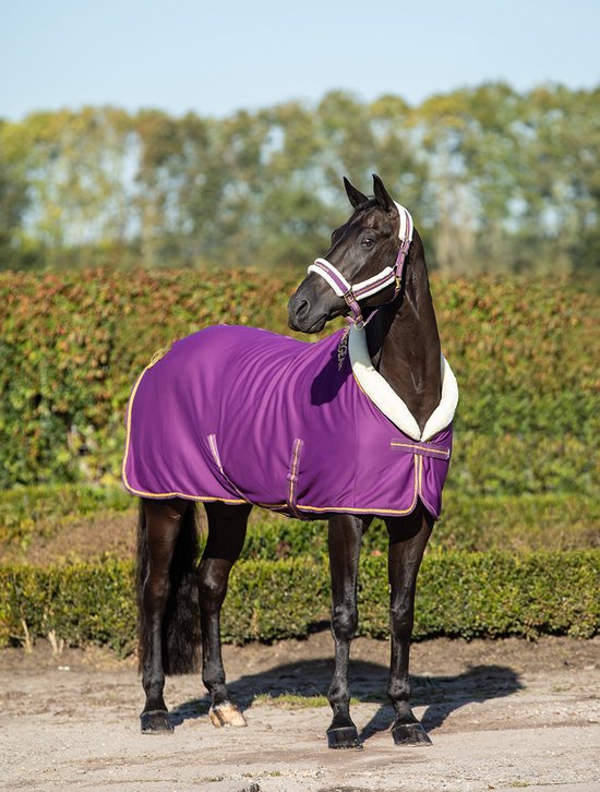 Bruin paard met paarse zweetdeken met crème fleece kraag en gouden bies.