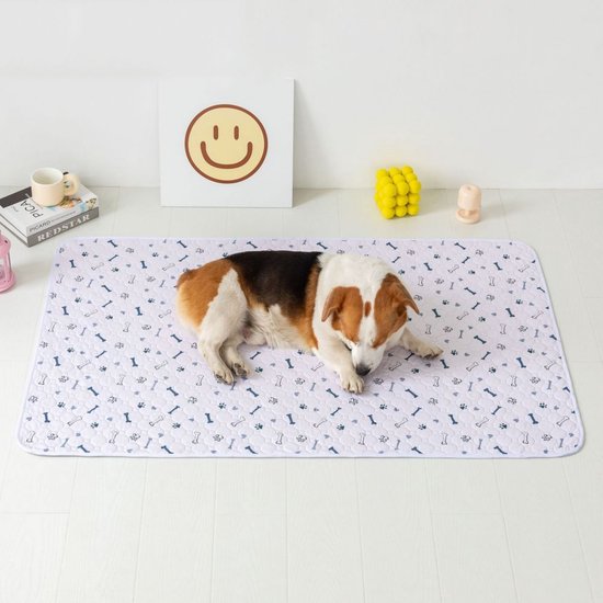 hond 100 st puppypads 60x60cm - Trainingsaccessoires