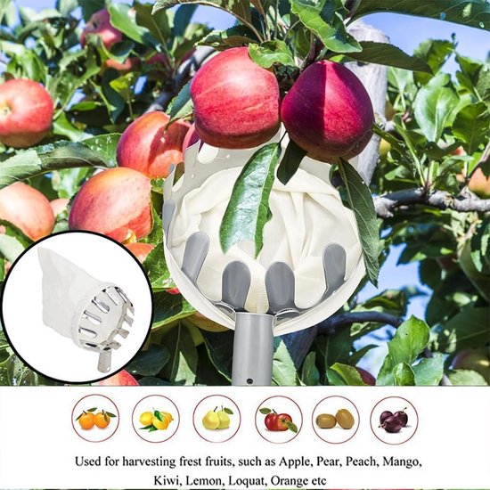 Equivera Appelplukker - Fruitplukker - Appel Plukker - Fruit Plukker - Fruitplukker met Steel - Appelplukker met Steel - Vluchtenplukker - Gemakkelijk fruit plukken! — afbeelding 4