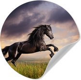 WallCircle® - Behangcirkel 30x30 cm - Muurstickers Paard - Lucht - Nacht - Gras - Muurcirkel woonkamer - Wandcirkel slaapkamer - Kamer decoratie zelfklevend - Muurdecoratie accessoires