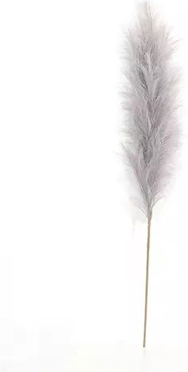 Buitengewoon Boet Pampas Gras 60 cm Licht grijs kunstplant Buitengewoon de Boet bruin