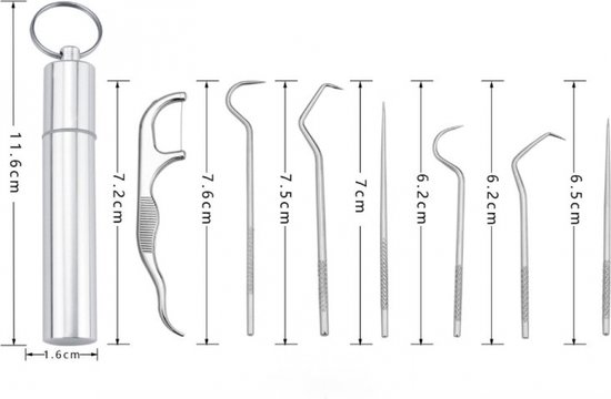 Set de 7 Cure-dents avec étui - Crochet dentaire - Ensemble de dentiste - Acier inoxydable - Ensemble de Soins dentaires - Cure Cure-dents - Argent - 1,6 x 1,6 x 11,6 cm - Soins dentaires
