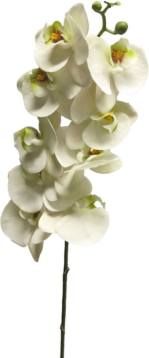 Bellatio Design Kunstbloem Orchidee Bora - wit - 108 cm - losse stelen - kunst zijdebloemen - Phalaenopsis