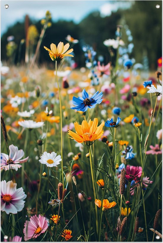 doorkijk tuinposter - Bloemen poster - Tuinposters Plant - Tuinposters - Tuinschilderijen voor buiten - Tuin decoratie voor buiten tuinposter 40x60 cm