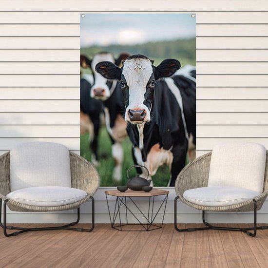 affiches transparentes - Affiches vache - Affiche de jardin Animal - Extérieur - Tableau de Jardin - Décoration de Jardin décoration murale affiche de jardin 100x150 cm
