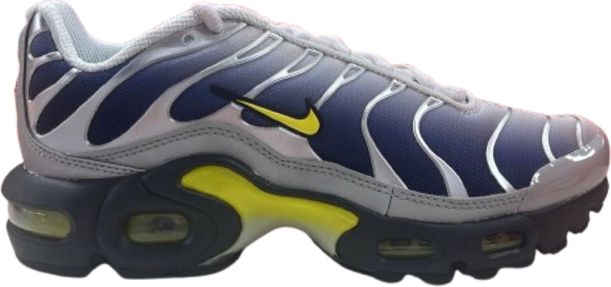 Nike Air Max Plus GS Zilver