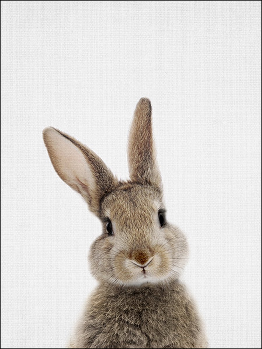 Ychee - Canvas Poster - Baby Kamer - Kinder Kamer - Slaap Kamer - Dieren - Decoratie - Art - Geen fotolijst/frame inbegrepen - 30x40cm - Konijn (Voor)