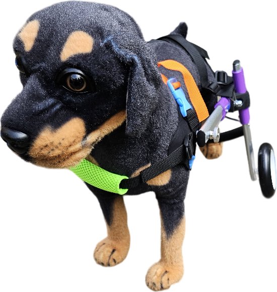 Vind rolstoel honden op - april 2026 Vind rolstoel honden op - april 2026