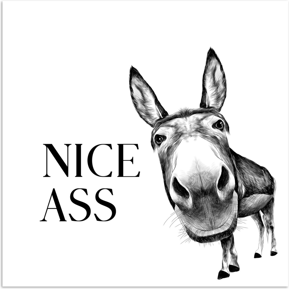 Poster 100x100 cm - Quote - Ezel - Dieren - Nice ass - Spreuken - Posters - Wanddecoratie