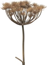 Bellatio Design Fleur Artificielle/Branche Artificielle Berce du Caucase/Heracleum - 98 cm - Tige Libre - Branches de Fleurs Artificielles en Soie