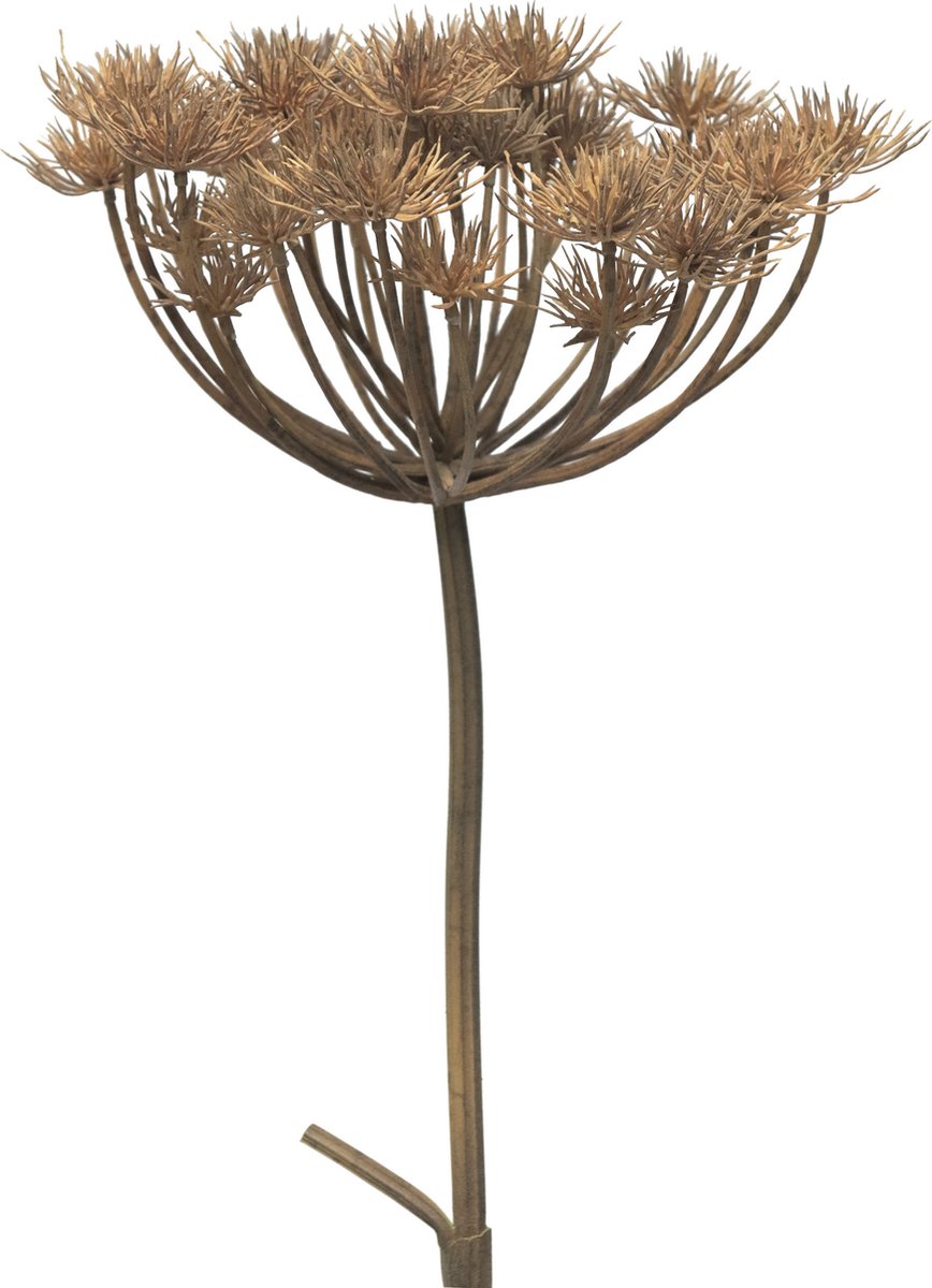 Bellatio Design Kunstbloem/kunsttak Berenklauw/heracleum - 98 cm - losse steel - kunst zijdebloem takken
