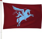Airborne Vlag 40x60cm - Herdenkingsvlag - Premium kwaliteit - Geschikt voor buiten