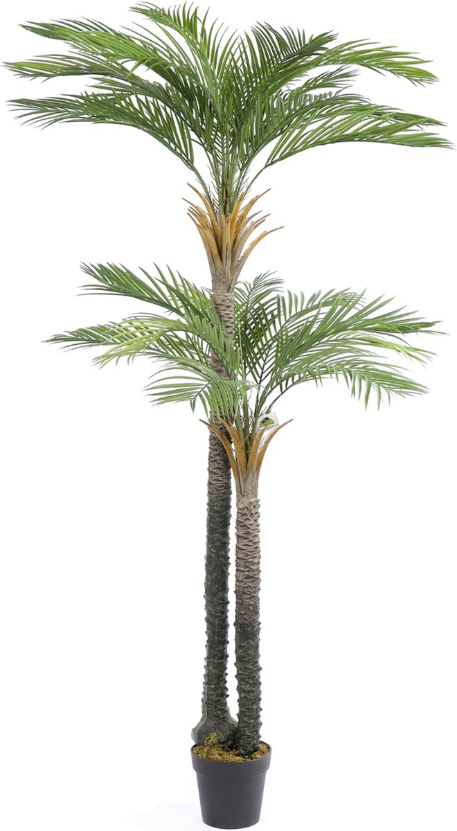 Kunstpalm Kunst Palmboom California Dubbele Stam | 210cm - Namaak palmboom - Kunstplanten voor binnen - Kunstpalm Grijs