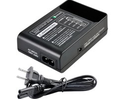 Godox Charger for Ving Flashes
