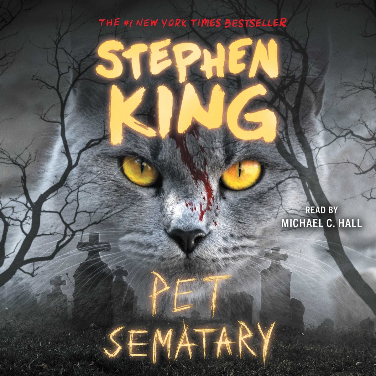 Omslag van Pet Sematary