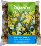 Zak met 50 narcisbollen van 6 elegante soorten. De zak heeft een groen en blauw label met "Organifer" logo en afbeelding van gele, witte en oranje bloeiende narcissen.