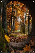 Affiches de jardin transparentes - Affiches Arbres - Nature - Affiche extérieur - Décoration - Accessoires de jardin - Décoration murale - Affiche de jardin 40x60 cm