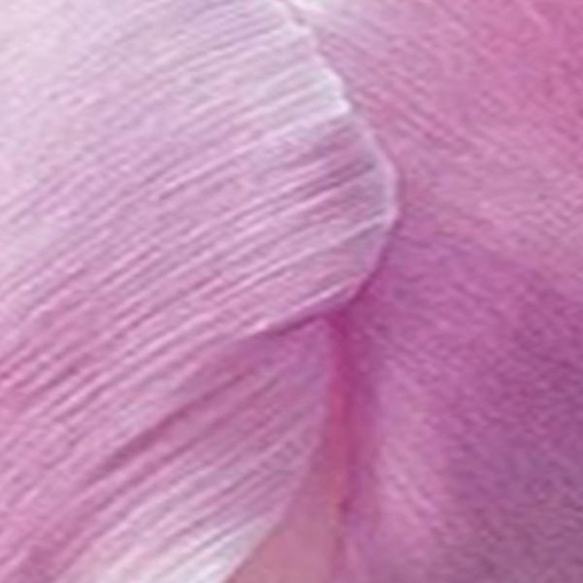 JUB - Tulipa Candy Prince