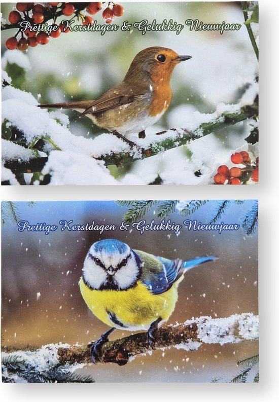Twee kaarten met winterse vogels en sneeuw. Boven een roodborstje op een tak met besjes, onder een koolmeesje op een besneeuwde tak. Tekst: "Prettige Kerstdagen & Gelukkig Nieuwjaar".