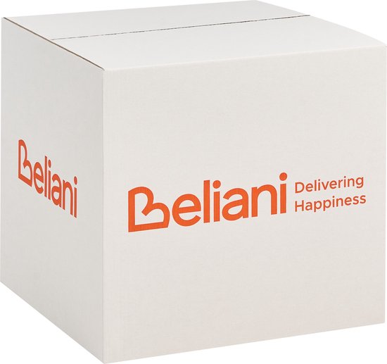 Beliani PILEA - Lot de 2 Sierkussen - Vert - Plastique