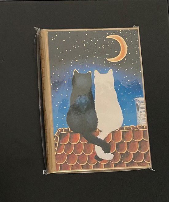 Hardcover notitieboek met illustratie van een zwart en wit kattenpaar op een dak, onder een maan en sterrenhemel.