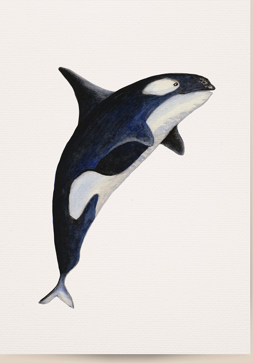 World of Mies poster orka - A4 - mooi dik papier - Snel verzonden! - oceaan zeedieren - dieren in aquarel - geschilderd door Mies