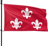 Beverwijkse vlag: rood met drie witte fleur-de-lis. De vlag wappert aan een paal.
