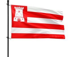 VlagDirect - Alkmaar vlag - Gemeente Alkmaar vlag - 90 x 150 cm.