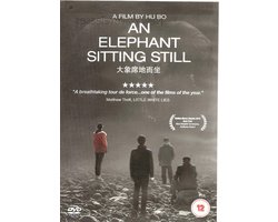 An Elephant Sitting Still