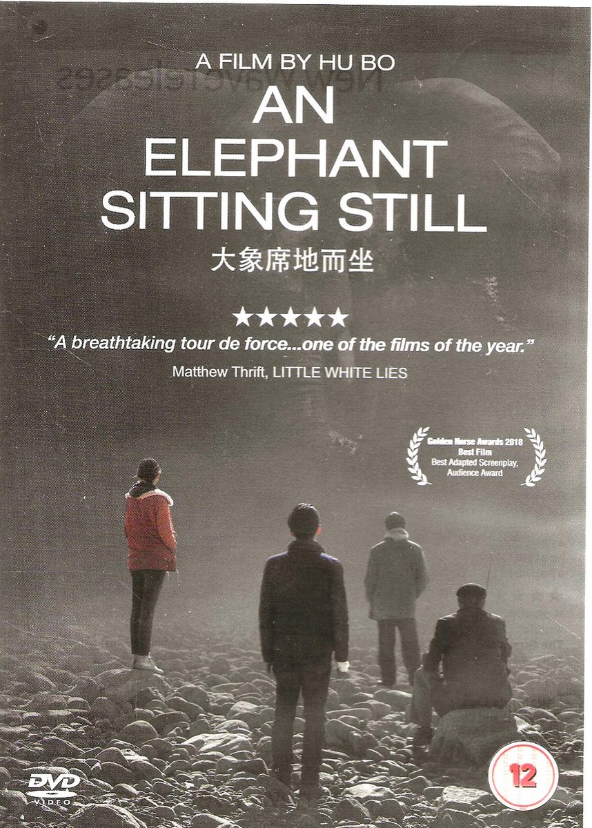 An Elephant Sitting Still