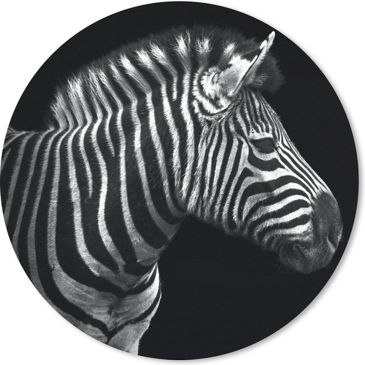 Muismat rond 50x50 cm - Mousepad Zebra - Zwart - Wit - Portret - Dieren - Ronde muismatten
