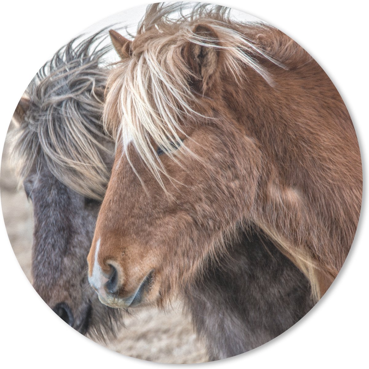Muismat rond 40x40 cm - Mousepad Paarden - Natuur - Macro - Ronde muismatten