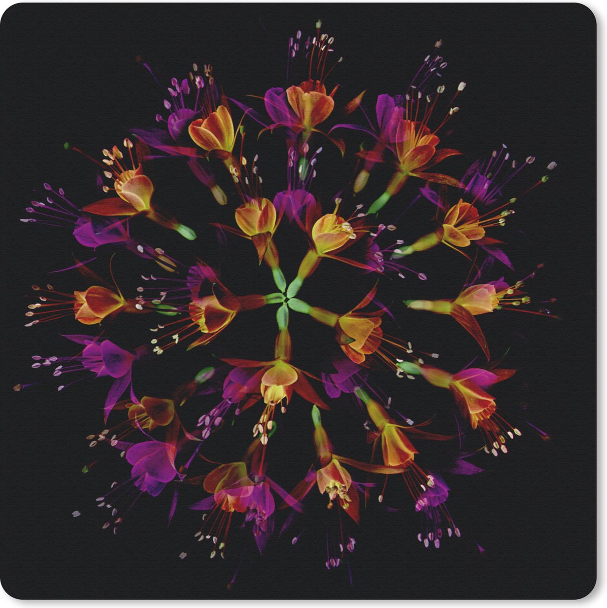 Muismat 20x20 cm - Mousepad Bloemen - Oranje - Roze - Zwart - Muismatten
