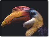 Muismat - Mousepad - Vogel - Snavel - Zwart - 23x19 cm - Muismatten