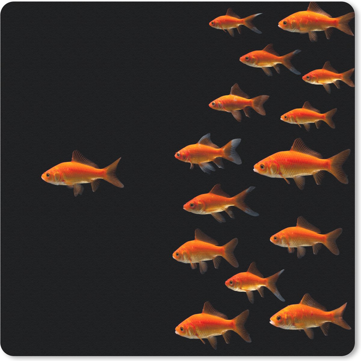 Muismat 30x30 cm - Mousepad Goudvis - Dieren - Zwart - Muismatten